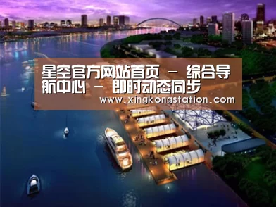 案例展示八