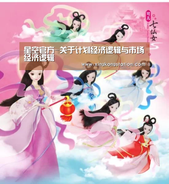 星空官方-关于计划经济逻辑与市场经济逻辑(图1) 星空频道