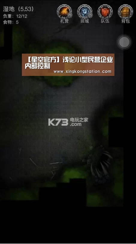 【星空官方】浅论小型民营企业内部控制(图4) 星空官网