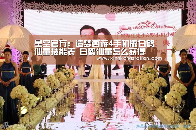 星空官方:造梦西游4手机版白鹤仙童技能表 白鹤仙童怎么获得(图4) 星空官网