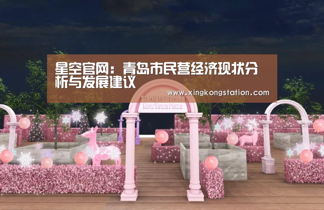 星空官网:青岛市民营经济现状分析与发展建议(图3) 星空官方